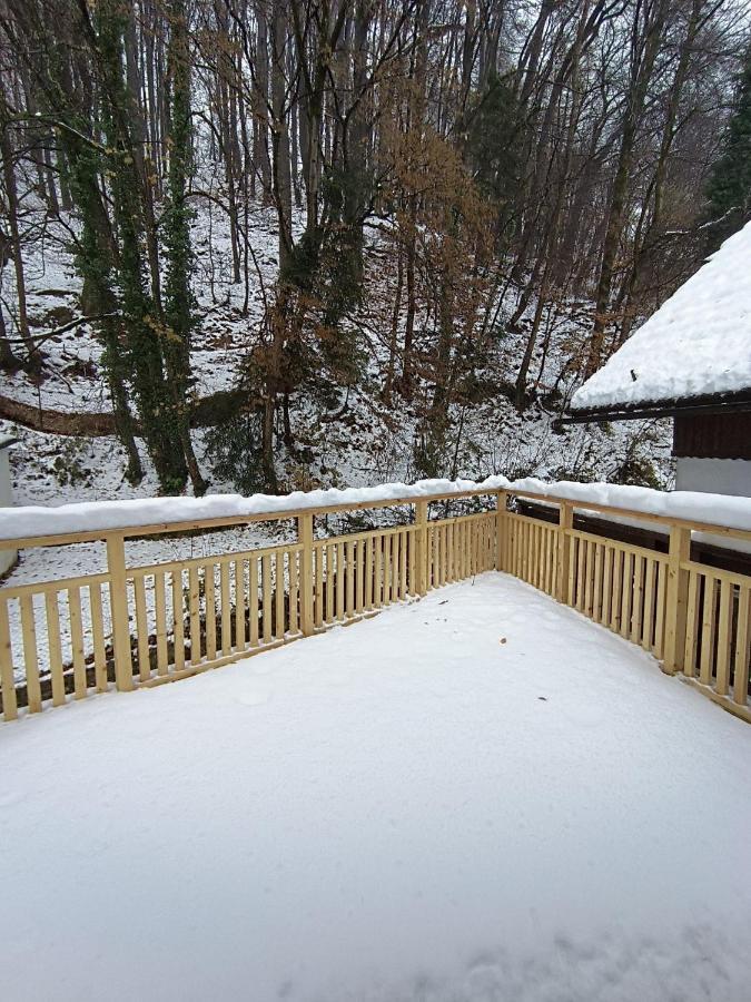 Cozy Stay Apartments Salzburg Dış mekan fotoğraf